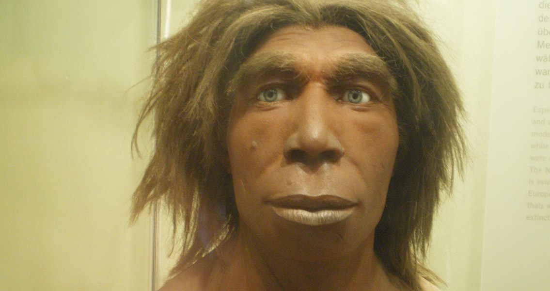 New Information Added to Timeline of Human Evolution - New Historian